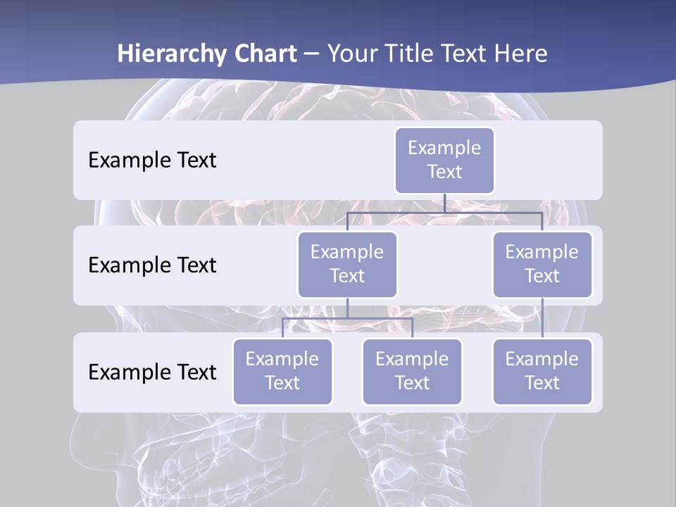 X Ray Man Bone PowerPoint Template