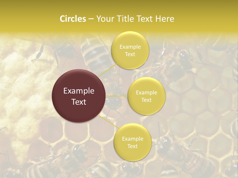 Wing Agriculture Instinct PowerPoint Template