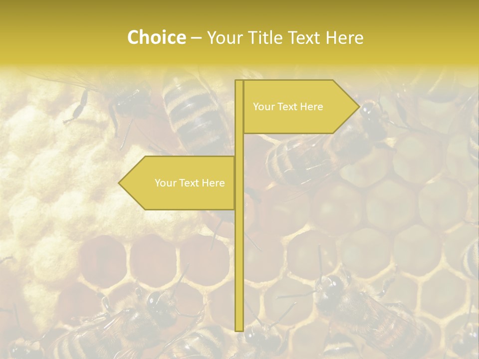 Wing Agriculture Instinct PowerPoint Template