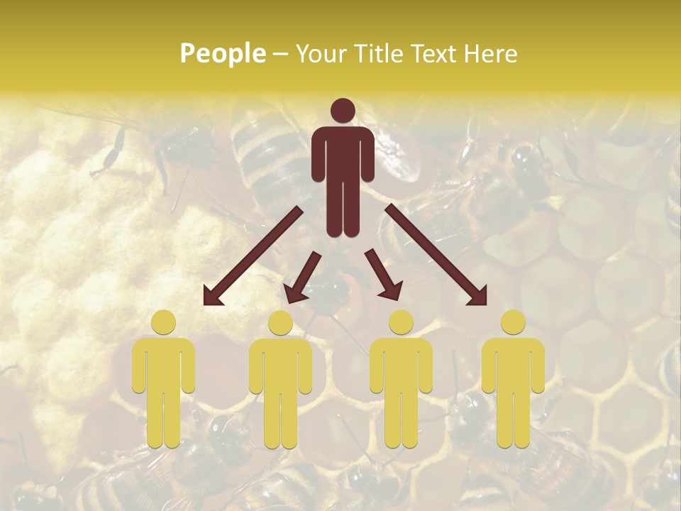 Wing Agriculture Instinct PowerPoint Template