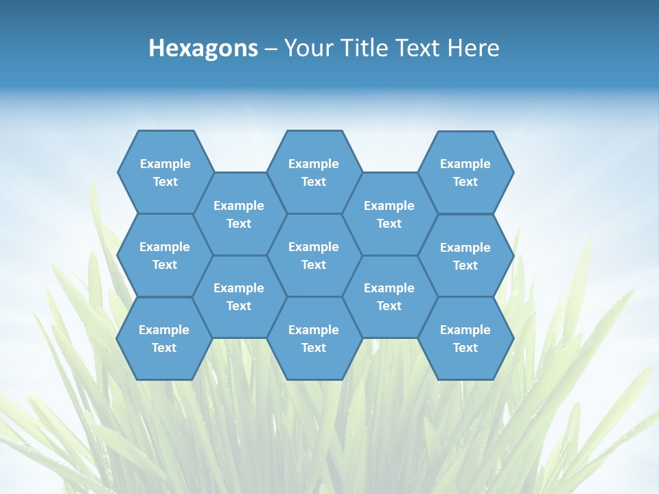 Copy Space Stem Natural PowerPoint Template
