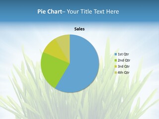 Copy Space Stem Natural PowerPoint Template