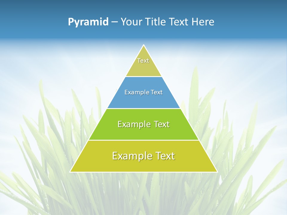 Copy Space Stem Natural PowerPoint Template