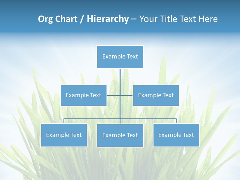 Copy Space Stem Natural PowerPoint Template