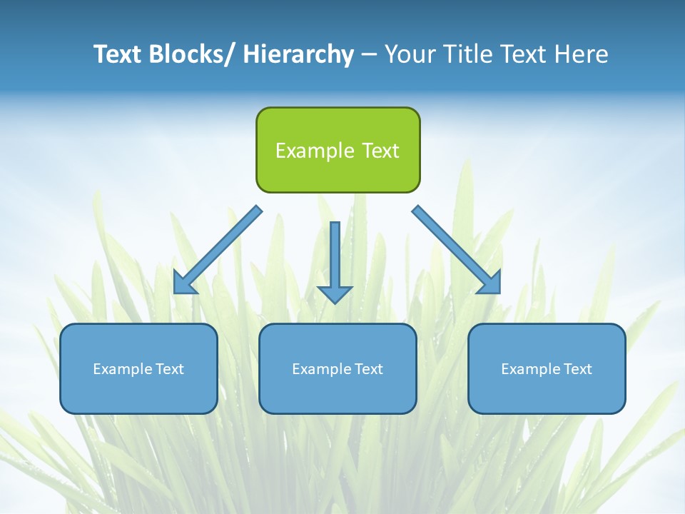 Copy Space Stem Natural PowerPoint Template