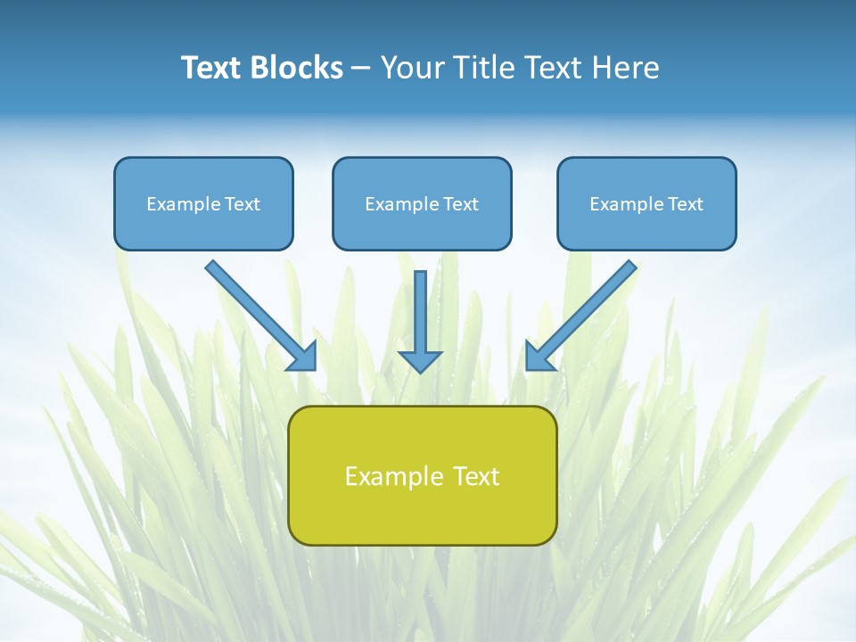 Copy Space Stem Natural PowerPoint Template