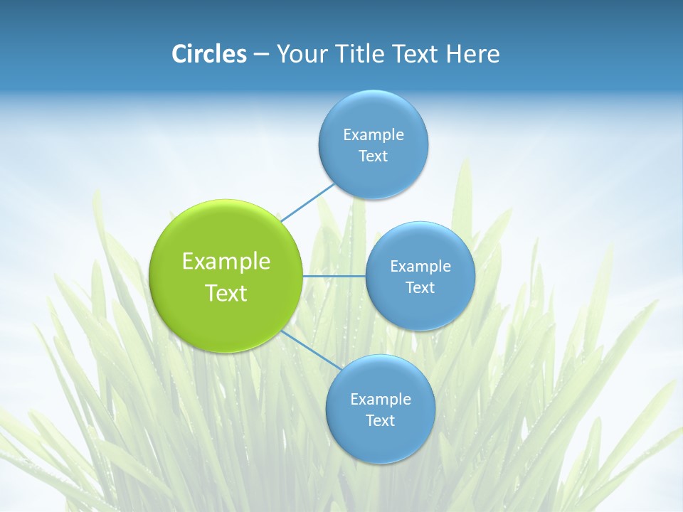 Copy Space Stem Natural PowerPoint Template