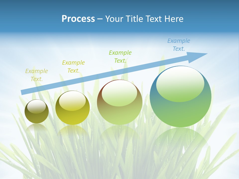 Copy Space Stem Natural PowerPoint Template