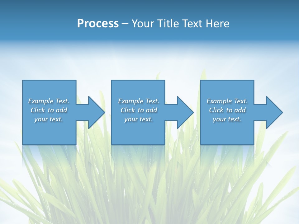 Copy Space Stem Natural PowerPoint Template
