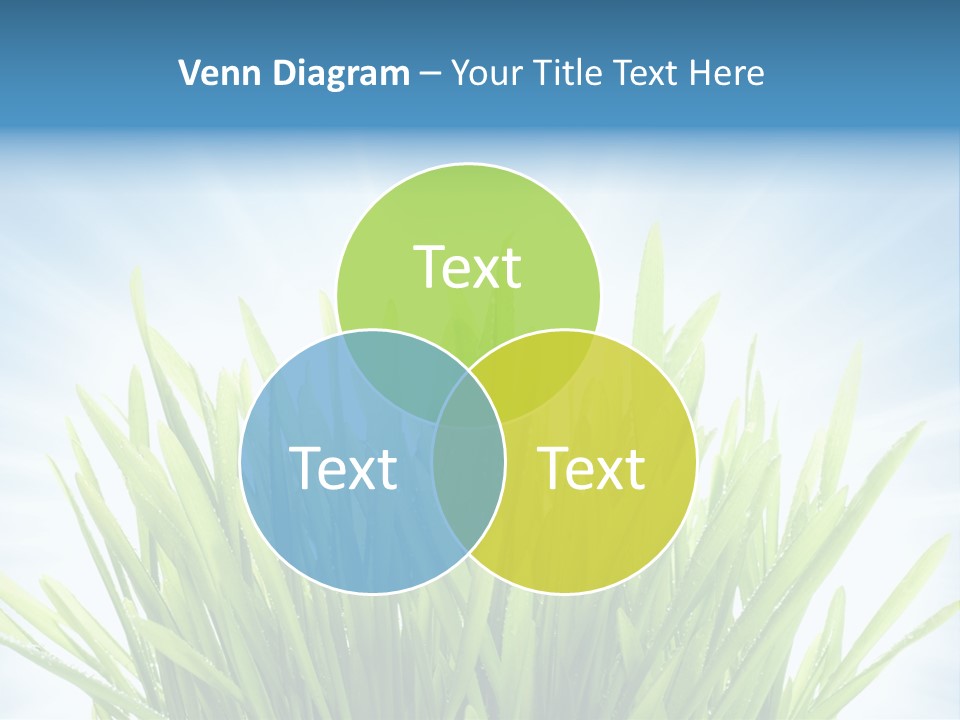 Copy Space Stem Natural PowerPoint Template