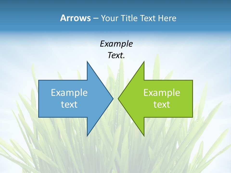 Copy Space Stem Natural PowerPoint Template