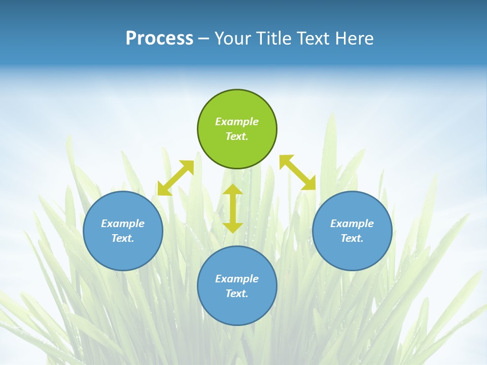 Copy Space Stem Natural PowerPoint Template