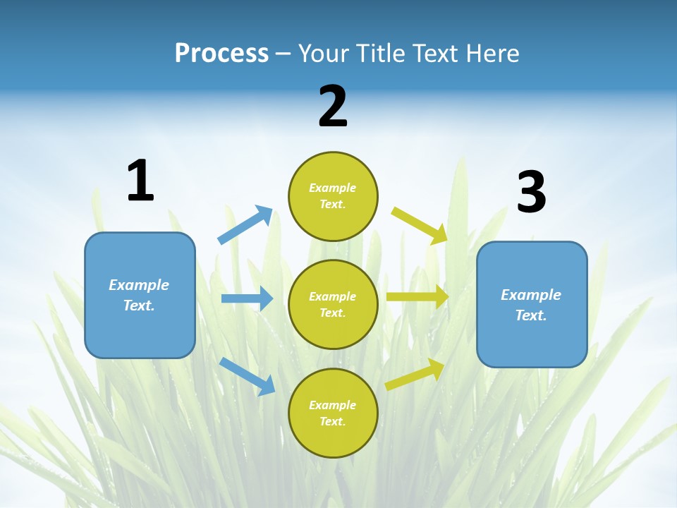 Copy Space Stem Natural PowerPoint Template