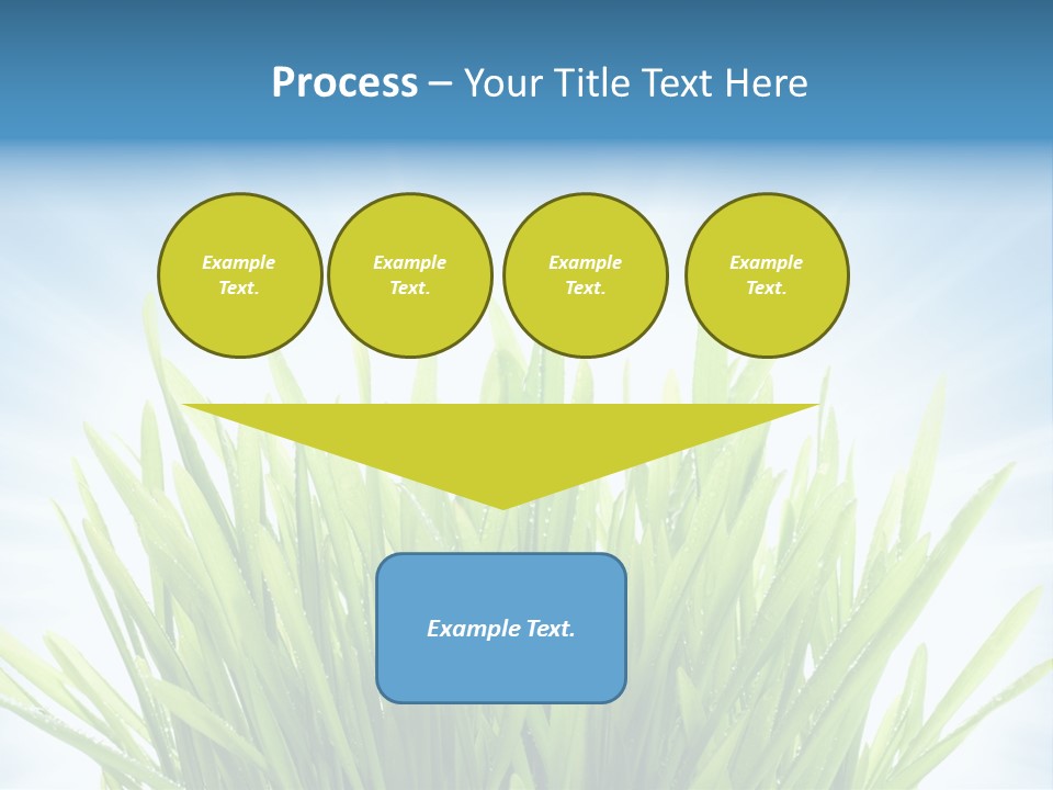 Copy Space Stem Natural PowerPoint Template