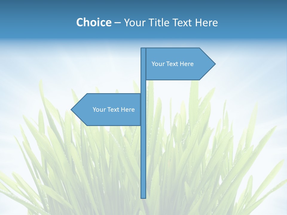 Copy Space Stem Natural PowerPoint Template