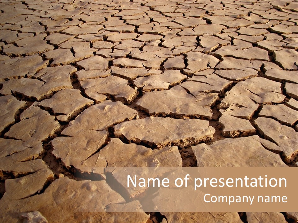 Pattern Dried Land PowerPoint Template