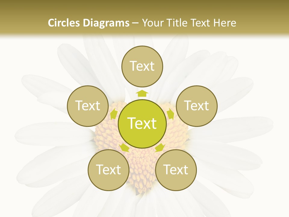 Season Macro Bloomy PowerPoint Template