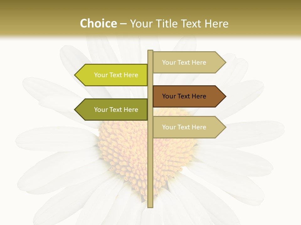 Season Macro Bloomy PowerPoint Template