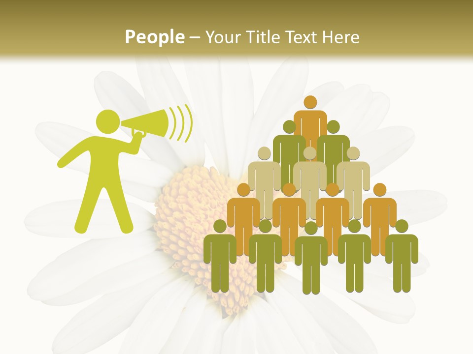 Season Macro Bloomy PowerPoint Template