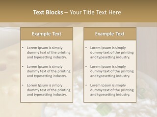 Yogurt Beauty Fresh PowerPoint Template