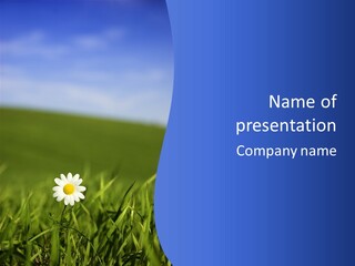 Flower Plant Bright PowerPoint Template