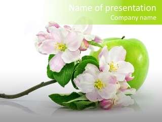 Garden Diet Background PowerPoint Template