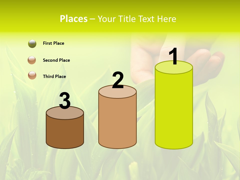 Stem Natural Spring PowerPoint Template