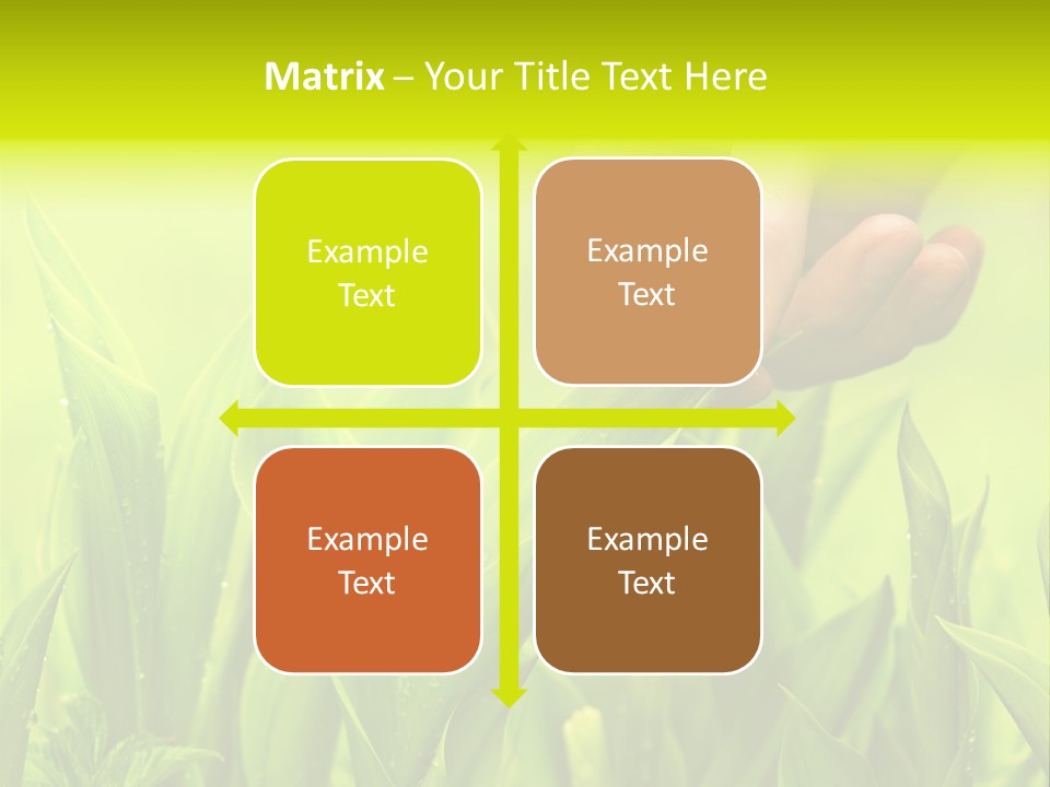 Stem Natural Spring PowerPoint Template