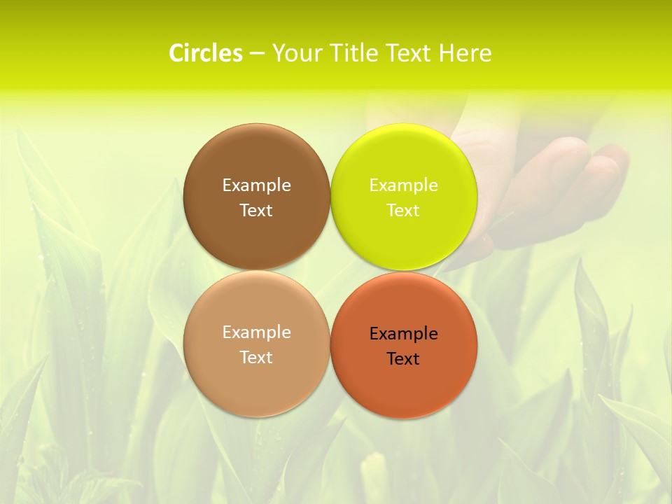 Stem Natural Spring PowerPoint Template