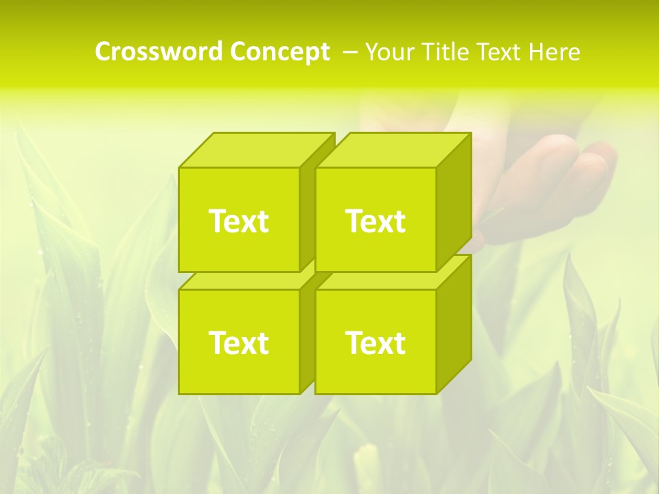Stem Natural Spring PowerPoint Template