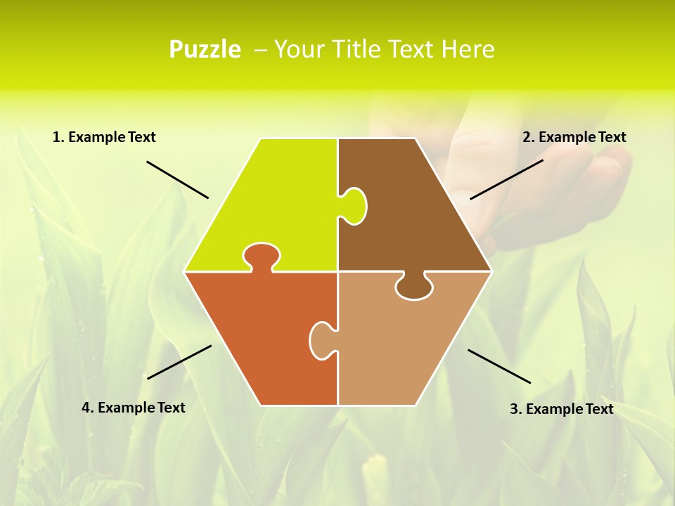 Stem Natural Spring PowerPoint Template
