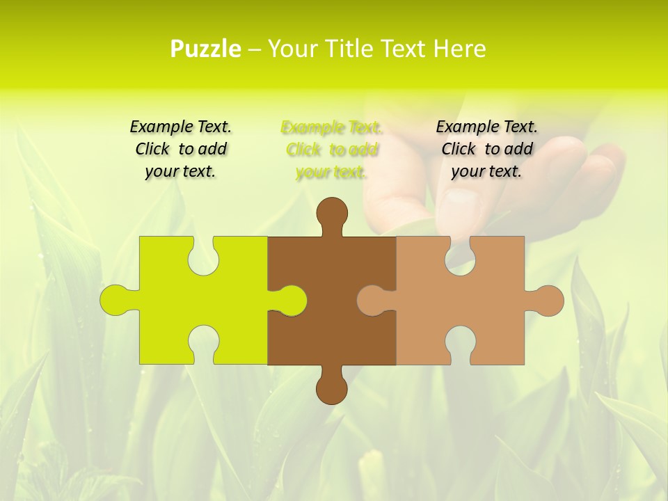 Stem Natural Spring PowerPoint Template