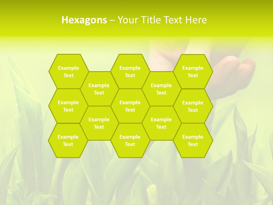 Stem Natural Spring PowerPoint Template