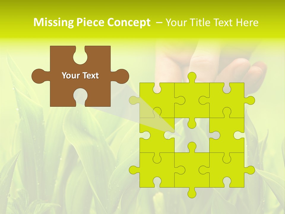 Stem Natural Spring PowerPoint Template