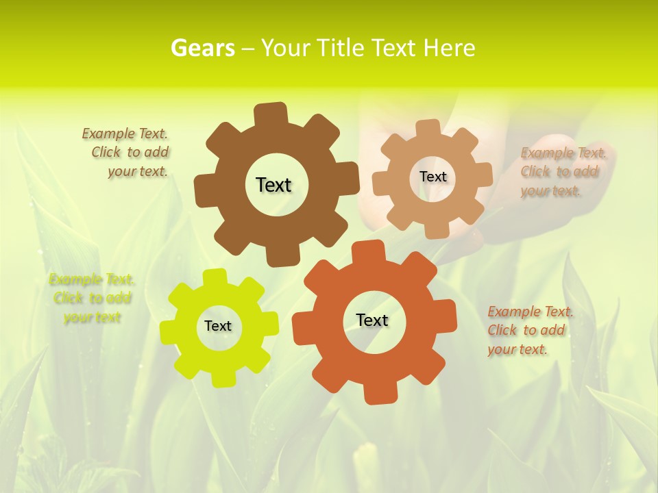 Stem Natural Spring PowerPoint Template