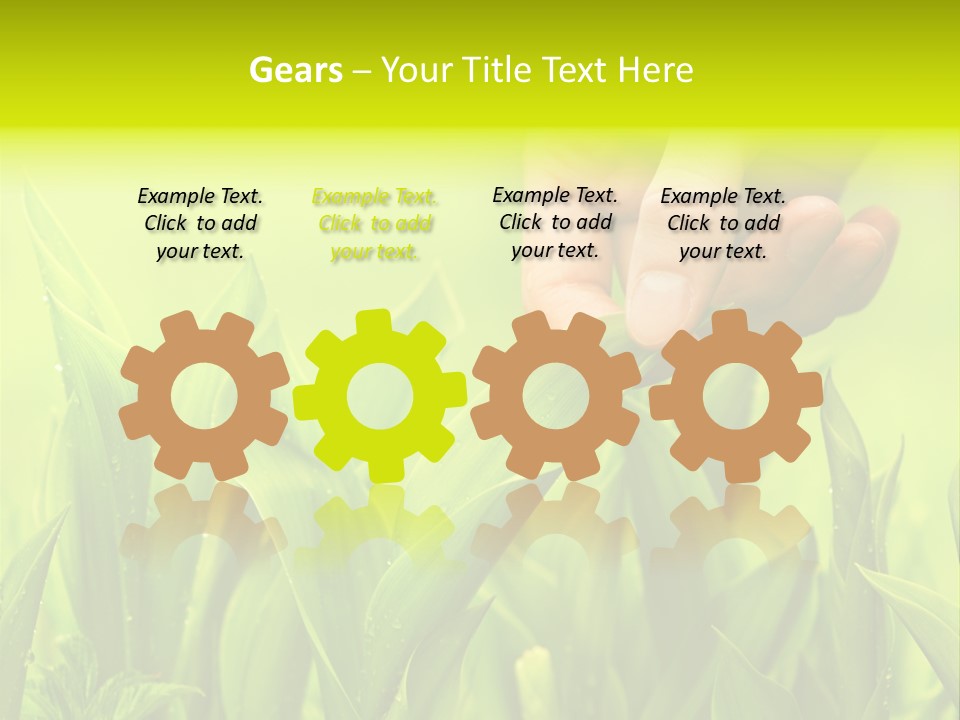 Stem Natural Spring PowerPoint Template