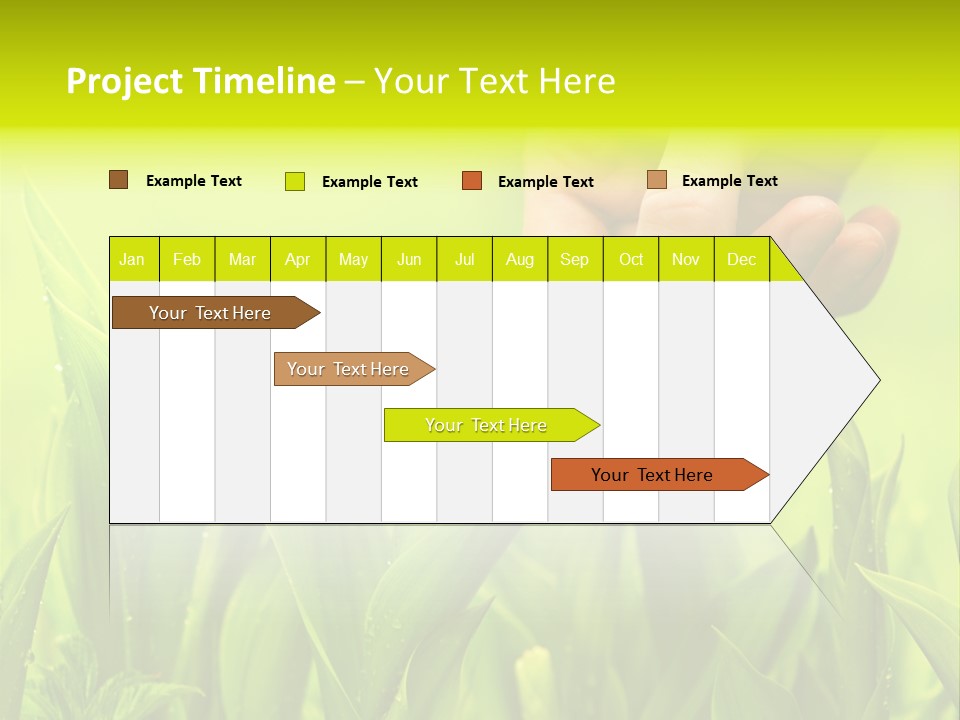 Stem Natural Spring PowerPoint Template