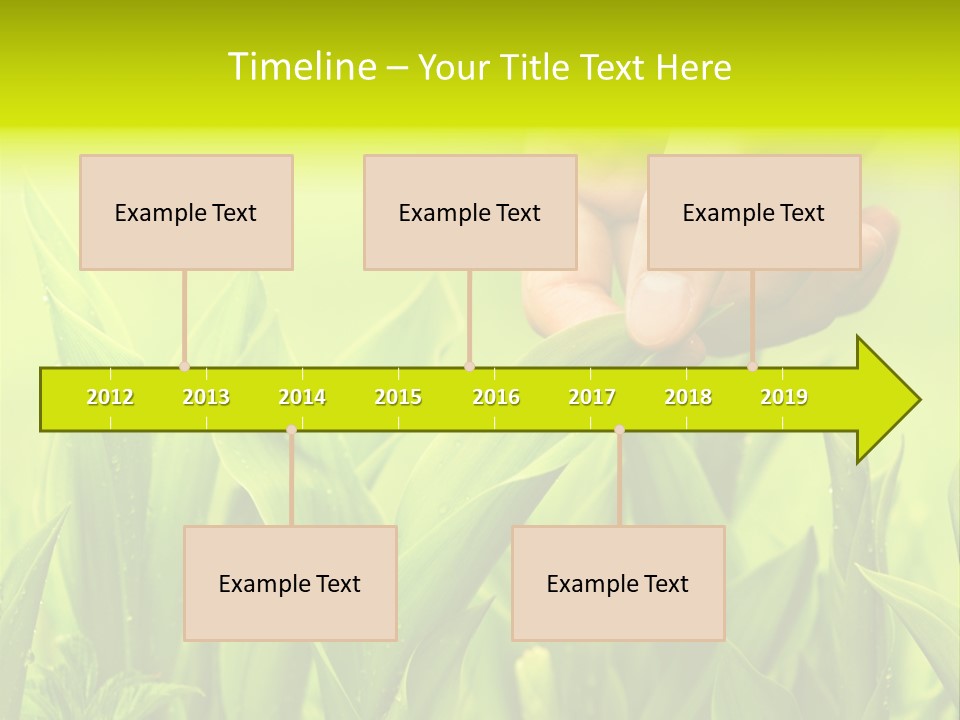 Stem Natural Spring PowerPoint Template