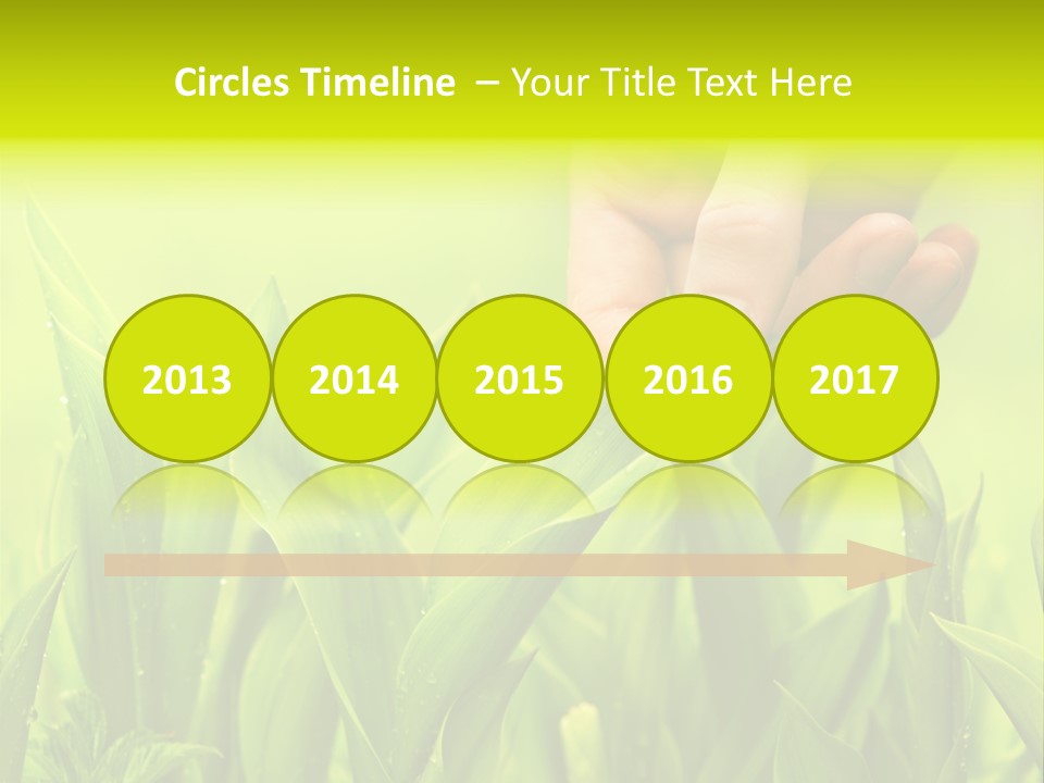 Stem Natural Spring PowerPoint Template