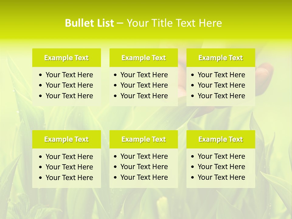 Stem Natural Spring PowerPoint Template