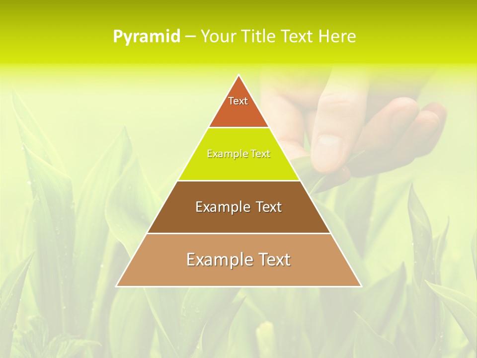 Stem Natural Spring PowerPoint Template