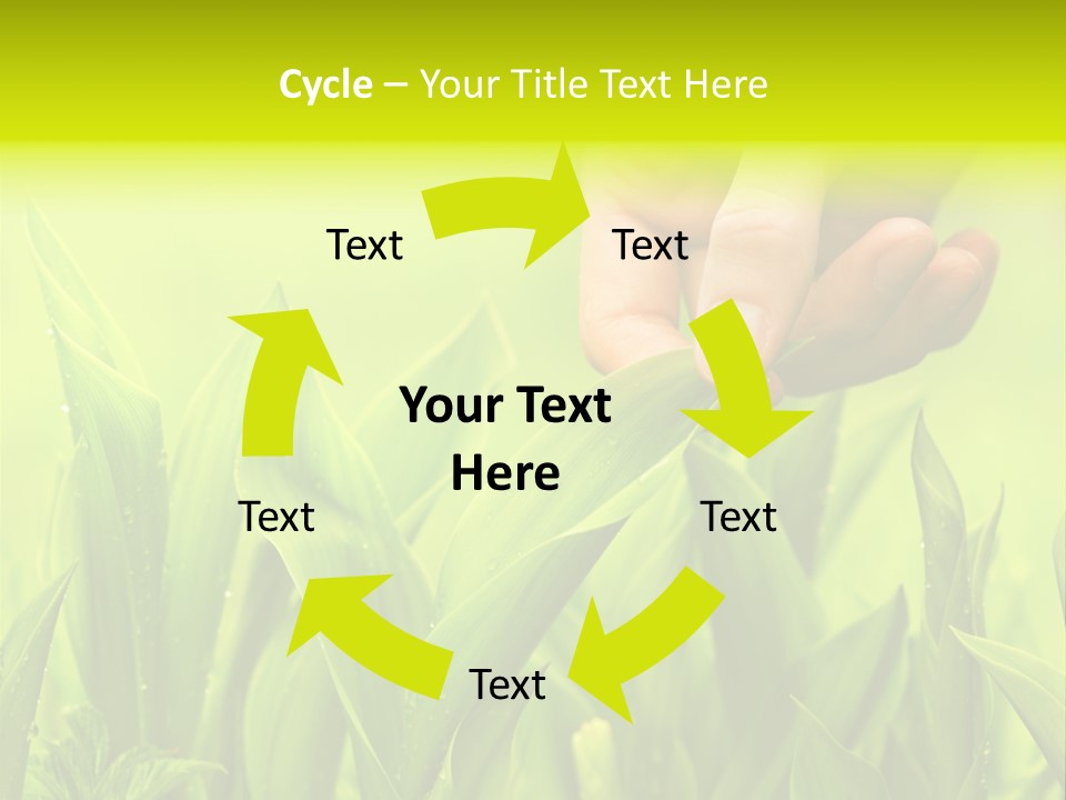 Stem Natural Spring PowerPoint Template