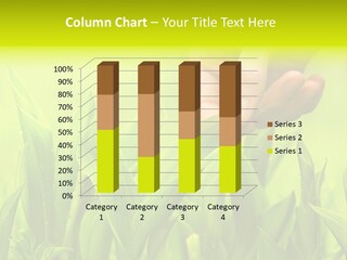 Stem Natural Spring PowerPoint Template