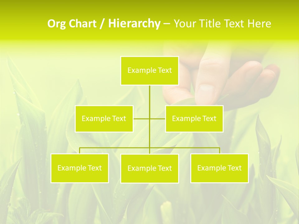 Stem Natural Spring PowerPoint Template