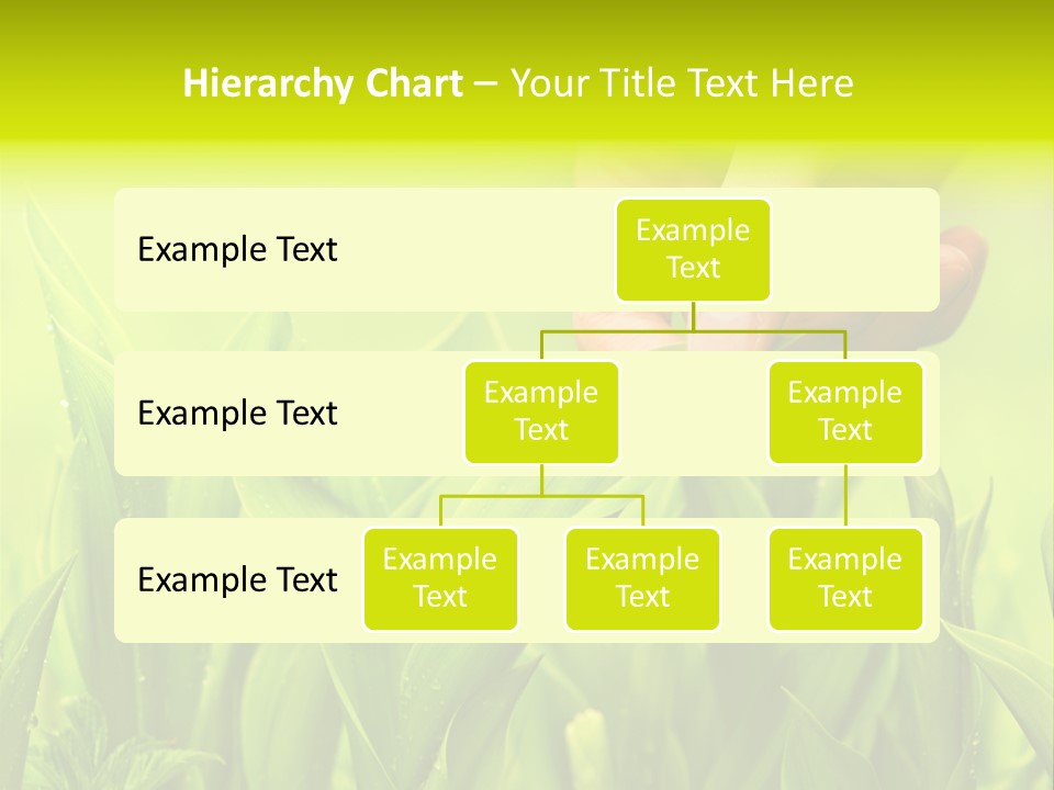 Stem Natural Spring PowerPoint Template