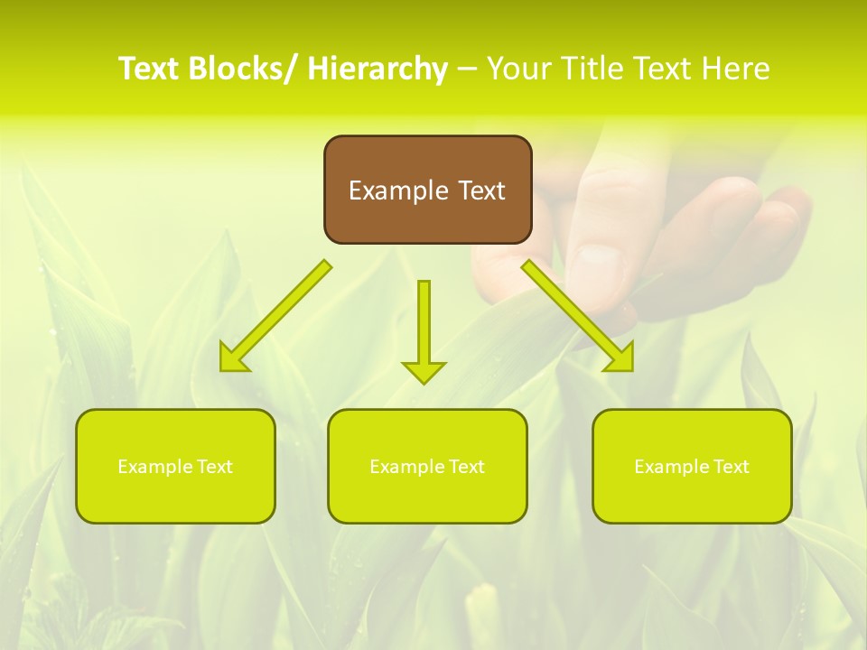 Stem Natural Spring PowerPoint Template