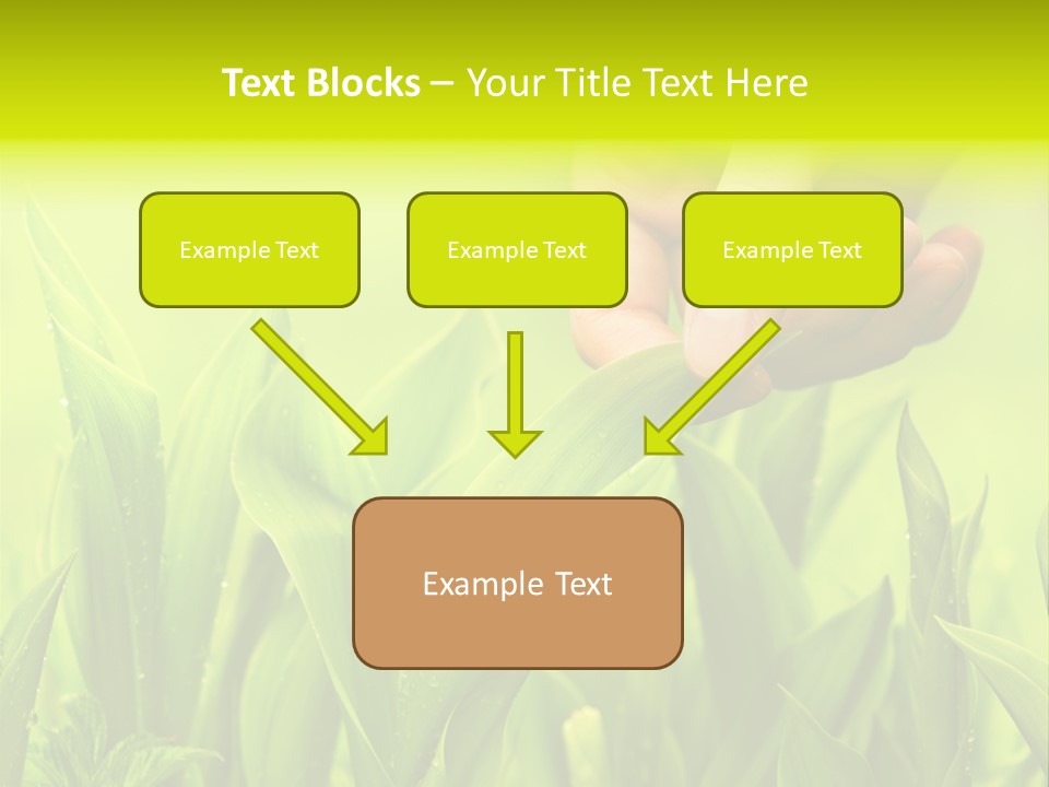 Stem Natural Spring PowerPoint Template