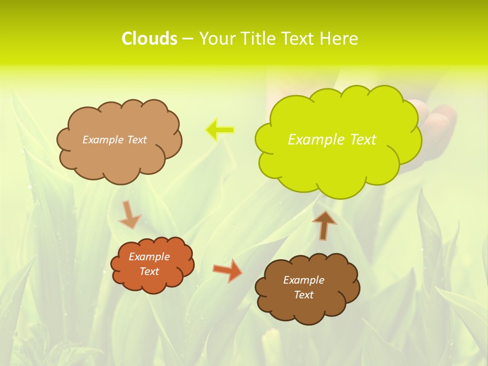 Stem Natural Spring PowerPoint Template