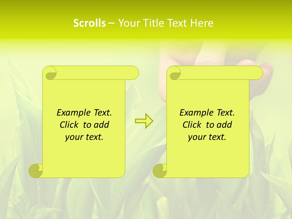 Stem Natural Spring PowerPoint Template