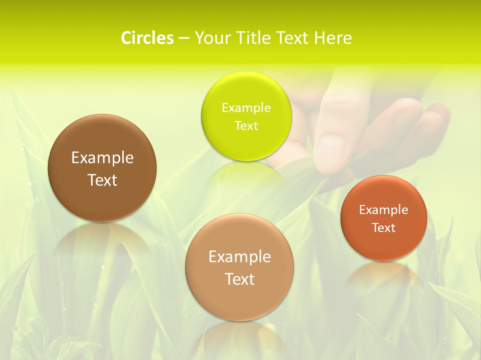 Stem Natural Spring PowerPoint Template